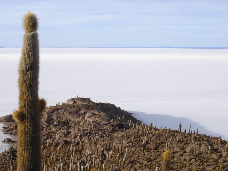Salar De Uyuni, Economical Tour