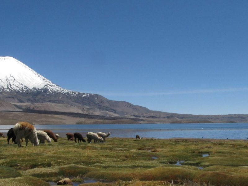 Volcano Tarapaca (5775M), Volcano Tacora (5988M) and Volcano Llullaillaco (6739M)